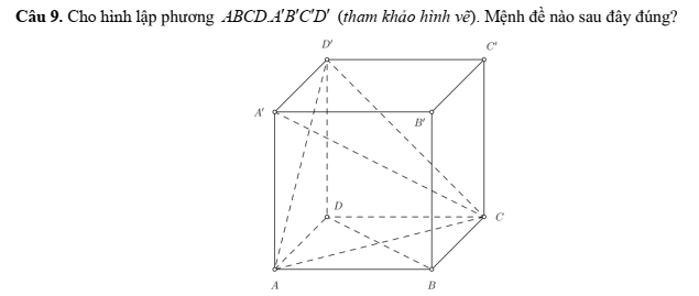 Hình minh họa câu hỏi